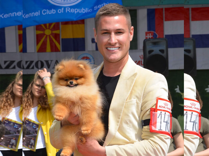 pony-vip-pom-stars-2