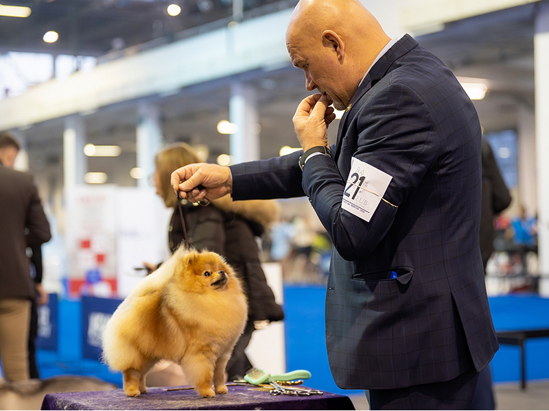 Facetune_02-12-2025-21-18-49