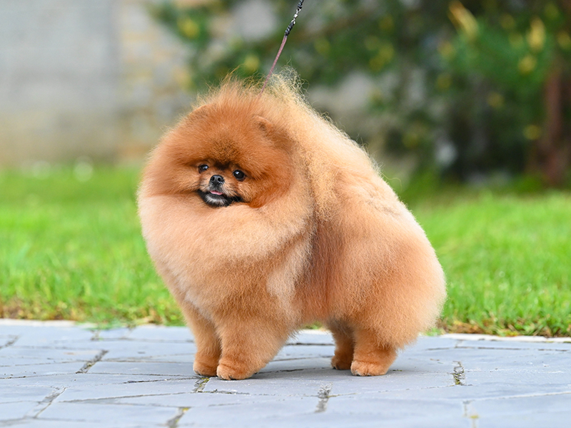 Facetune_04-05-2025-15-49-17