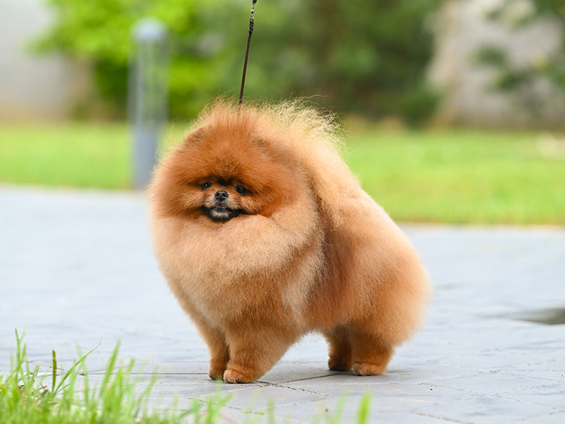 Facetune_04-05-2025-15-58-10