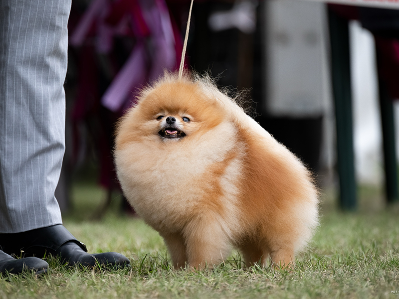 Facetune_06-10-2025-21-02-39