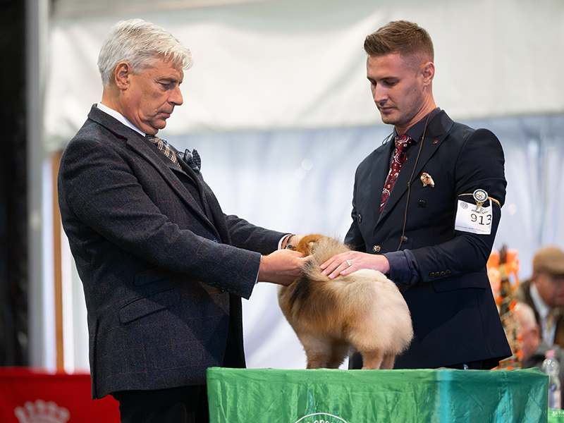 Facetune_07-10-2025-19-10-05