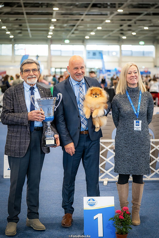 Facetune_09-02-2026-15-49-03-2 copy