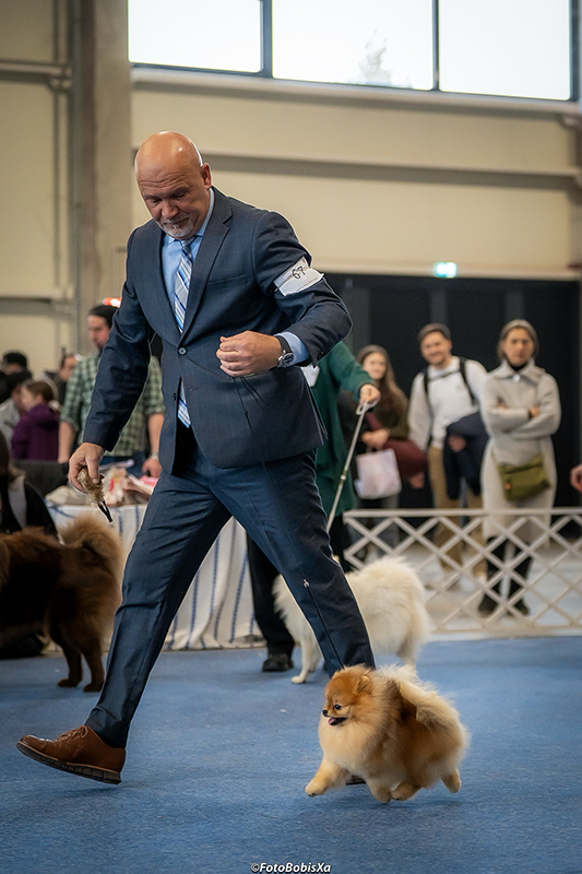 Facetune_09-02-2026-15-52-22 copy