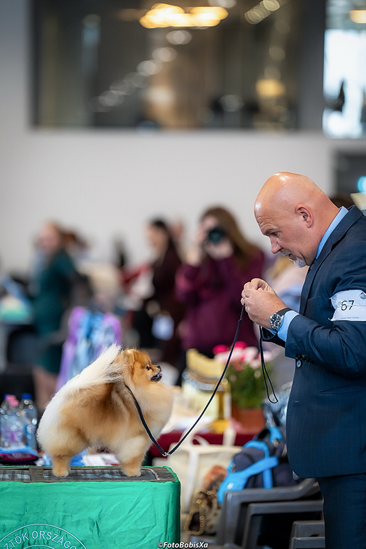 Facetune_09-02-2026-16-03-43