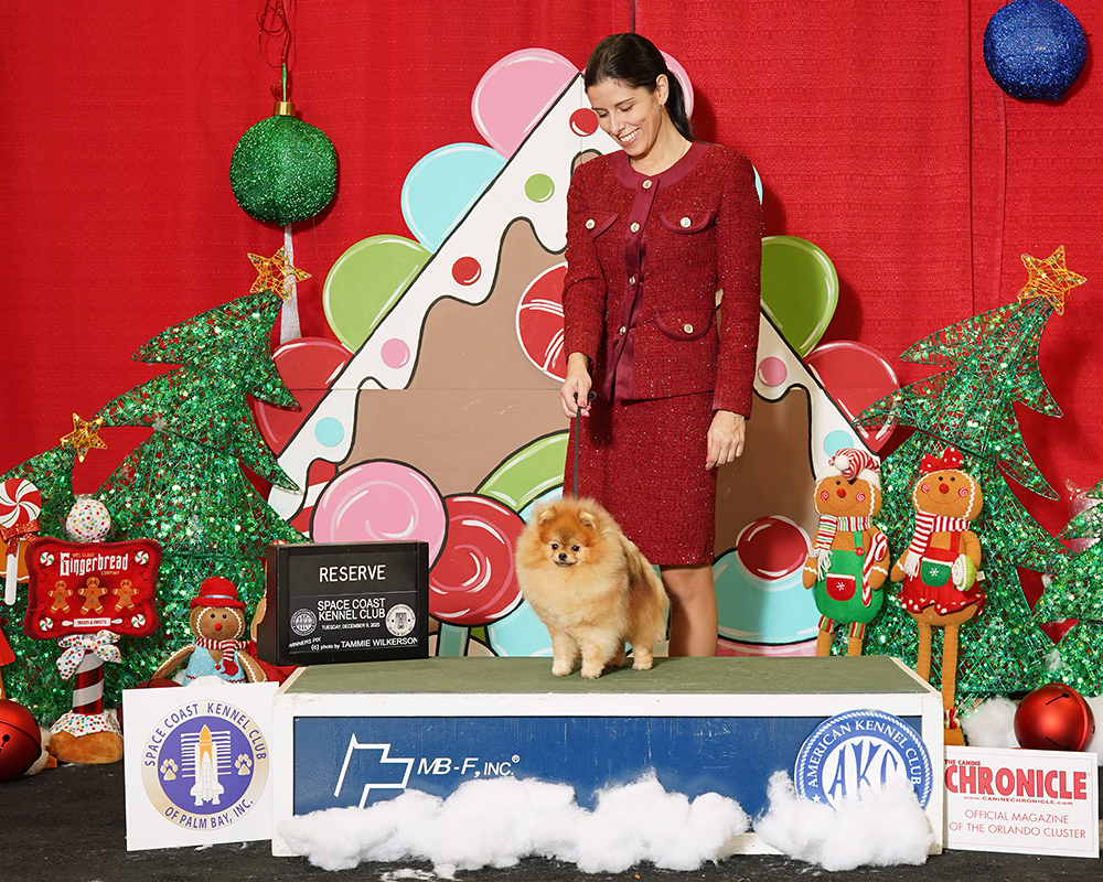 Facetune_10-12-2025-23-55-21