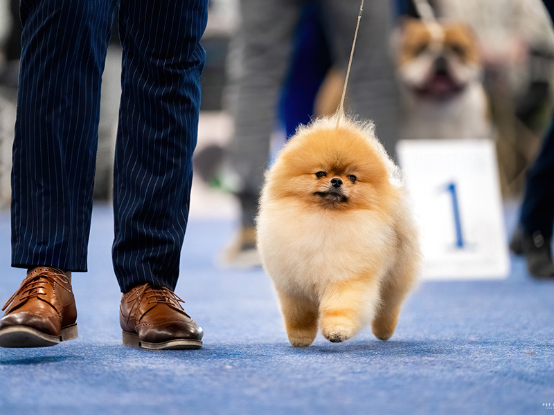 Facetune_11-02-2025-17-37-19