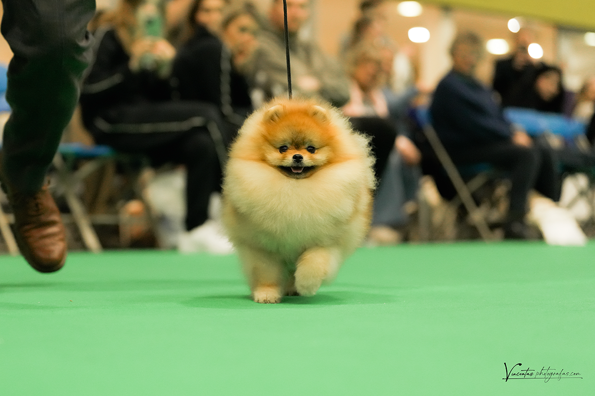 Facetune_11-03-2026-17-05-31