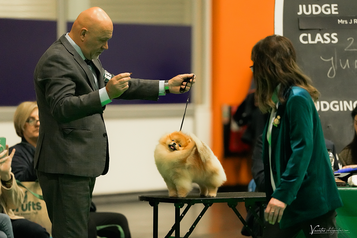 Facetune_11-03-2026-17-28-16