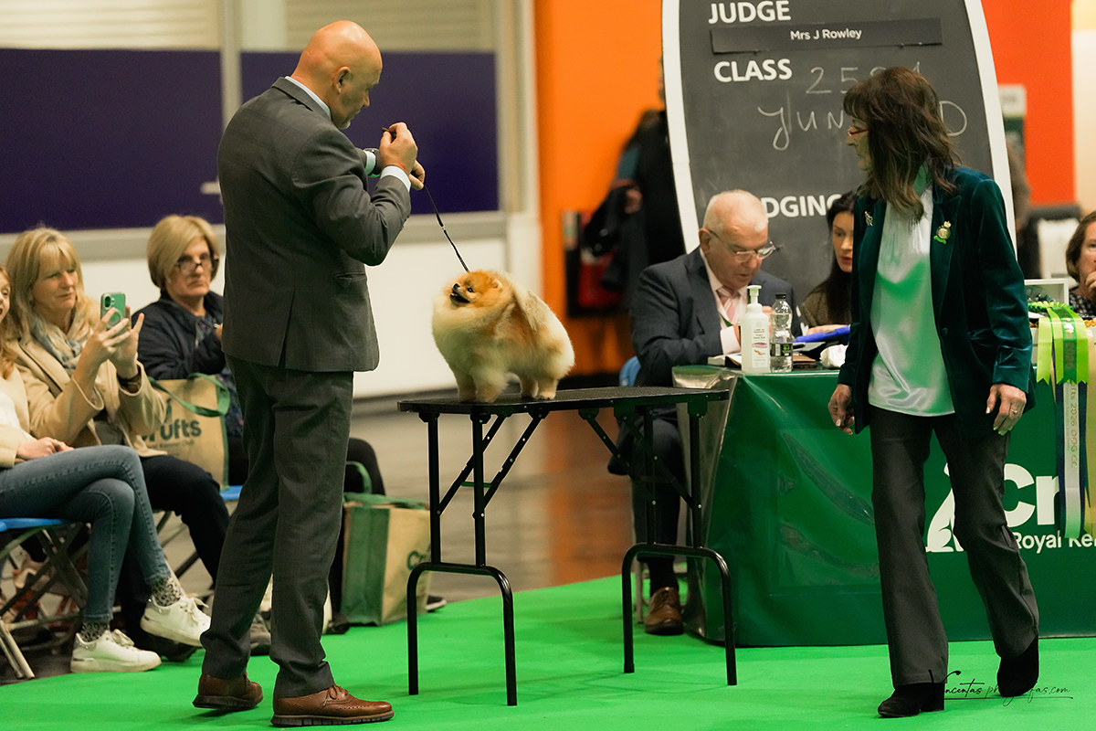 Facetune_11-03-2026-17-32-32