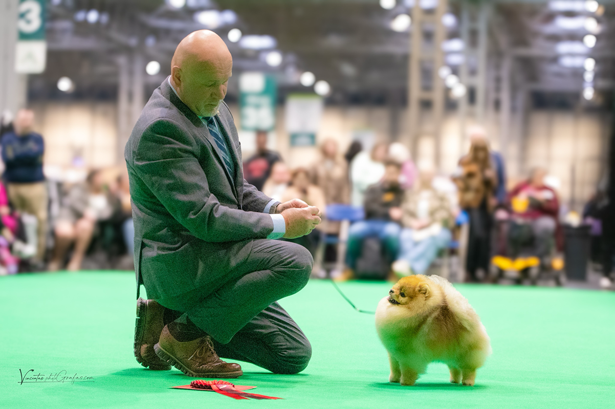 Facetune_11-03-2026-17-35-03