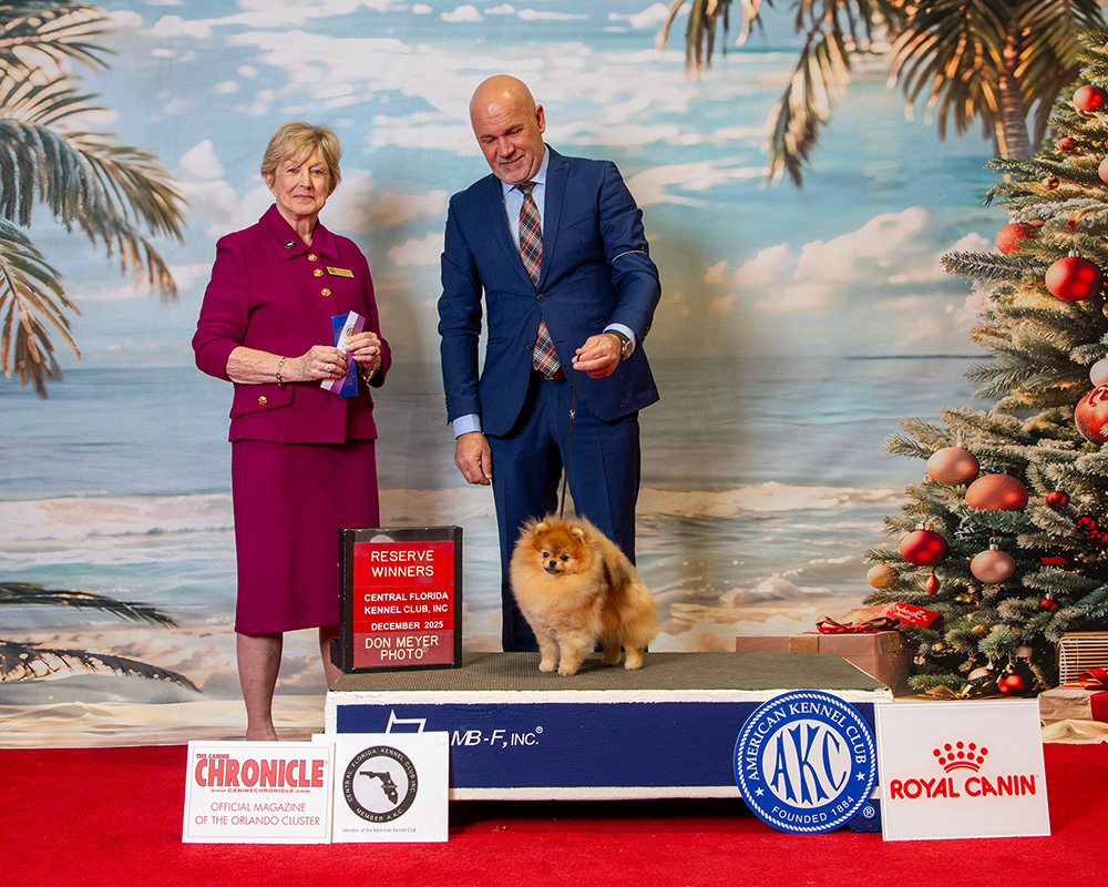 Facetune_13-12-2025-02-09-53