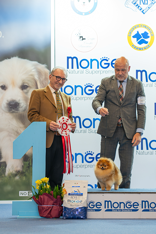 Facetune_14-02-2026-23-06-48