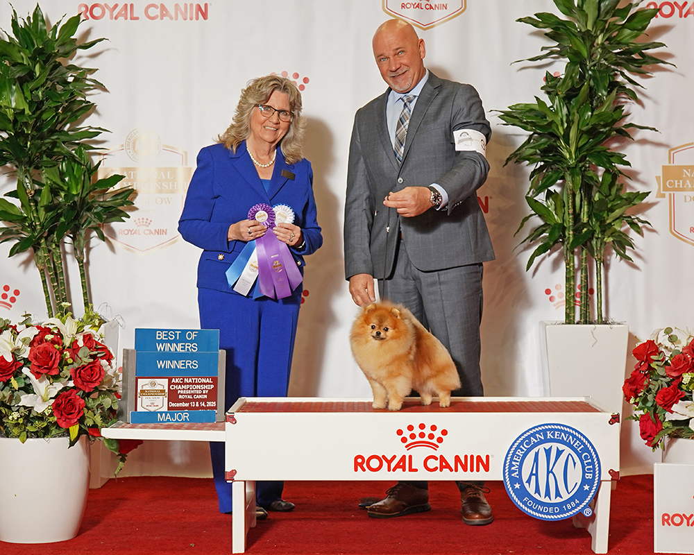 Facetune_14-12-2025-15-27-08