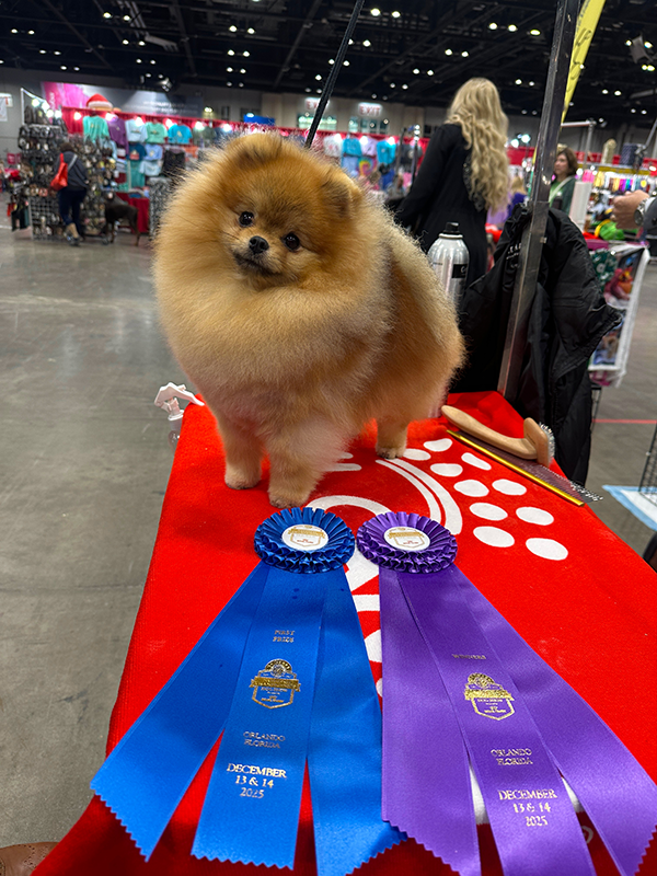 Facetune_14-12-2025-15-33-00