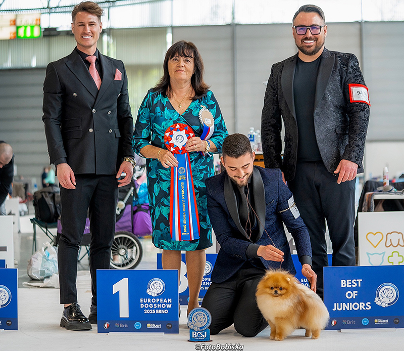 Facetune_15-04-2025-15-30-23