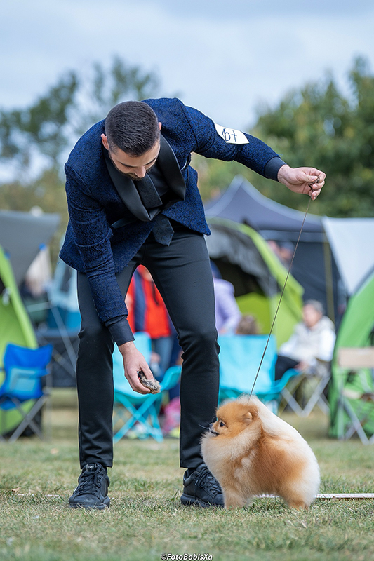 Facetune_15-10-2025-14-40-49