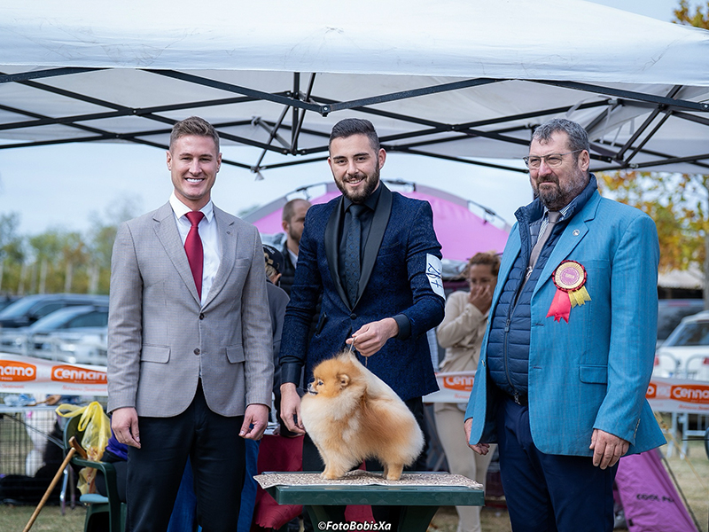 Facetune_15-10-2025-15-13-49