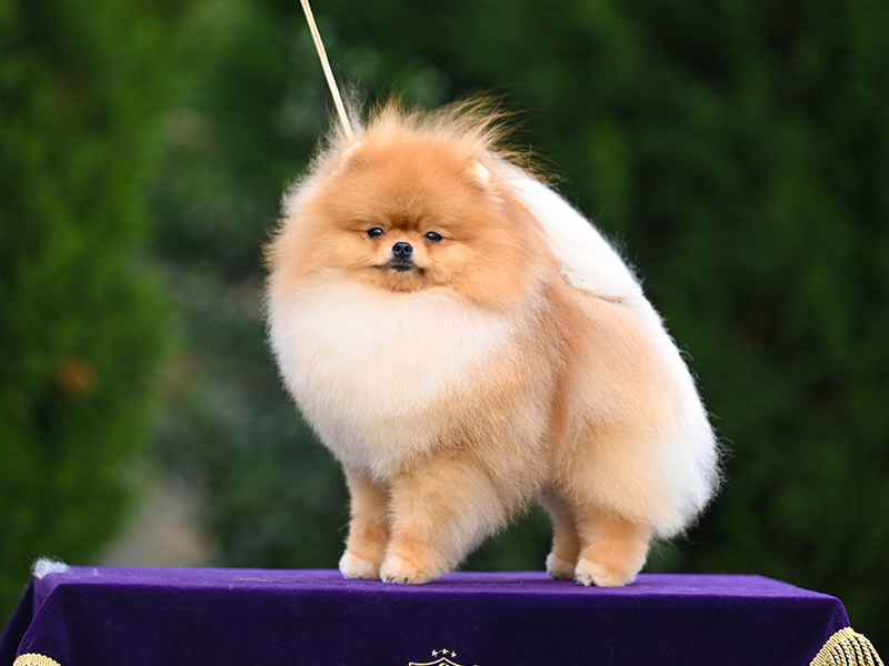 Facetune_20-03-2025-22-14-15