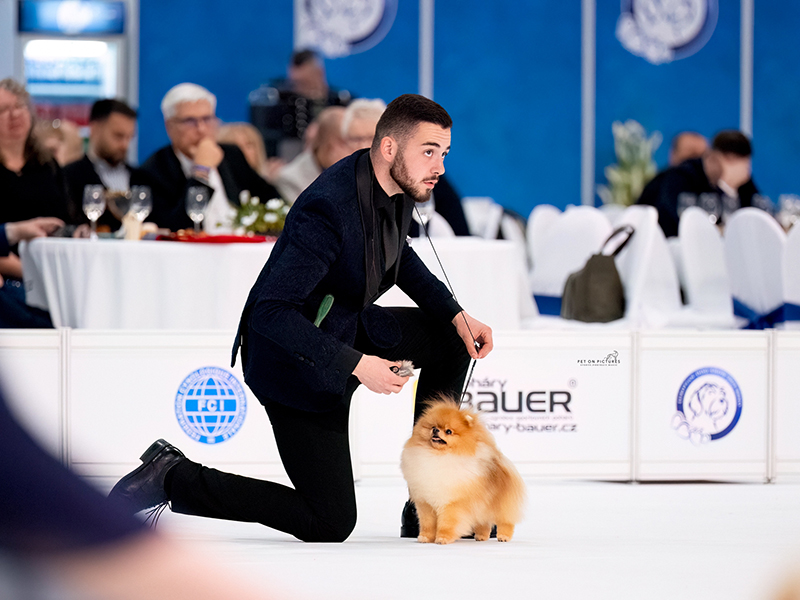 Facetune_26-04-2025-21-38-08