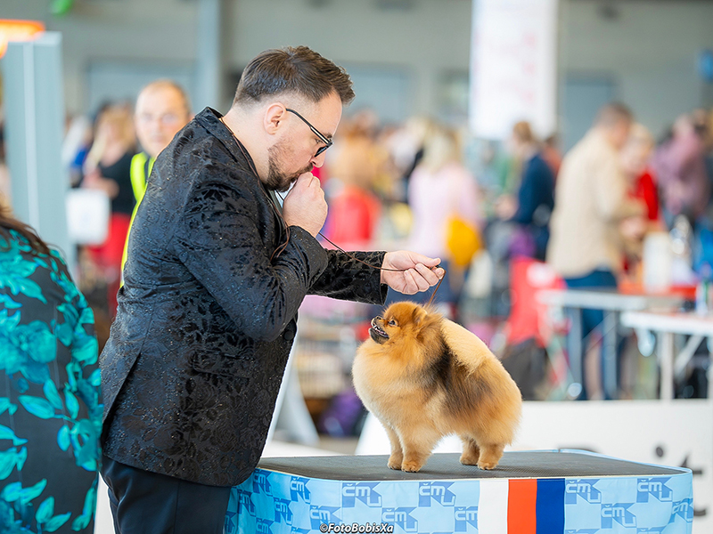 Facetune_29-05-2025-18-48-53