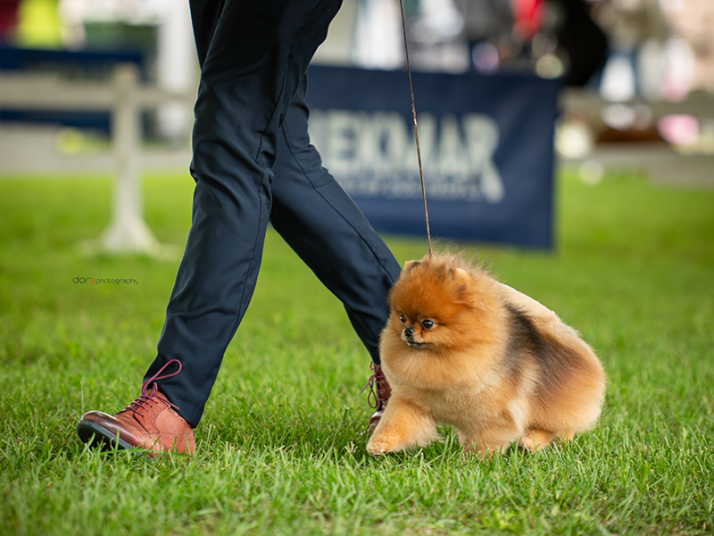 Facetune_30-09-2025-16-00-47