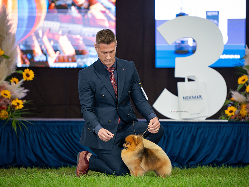 Facetune_30-09-2025-16-13-49